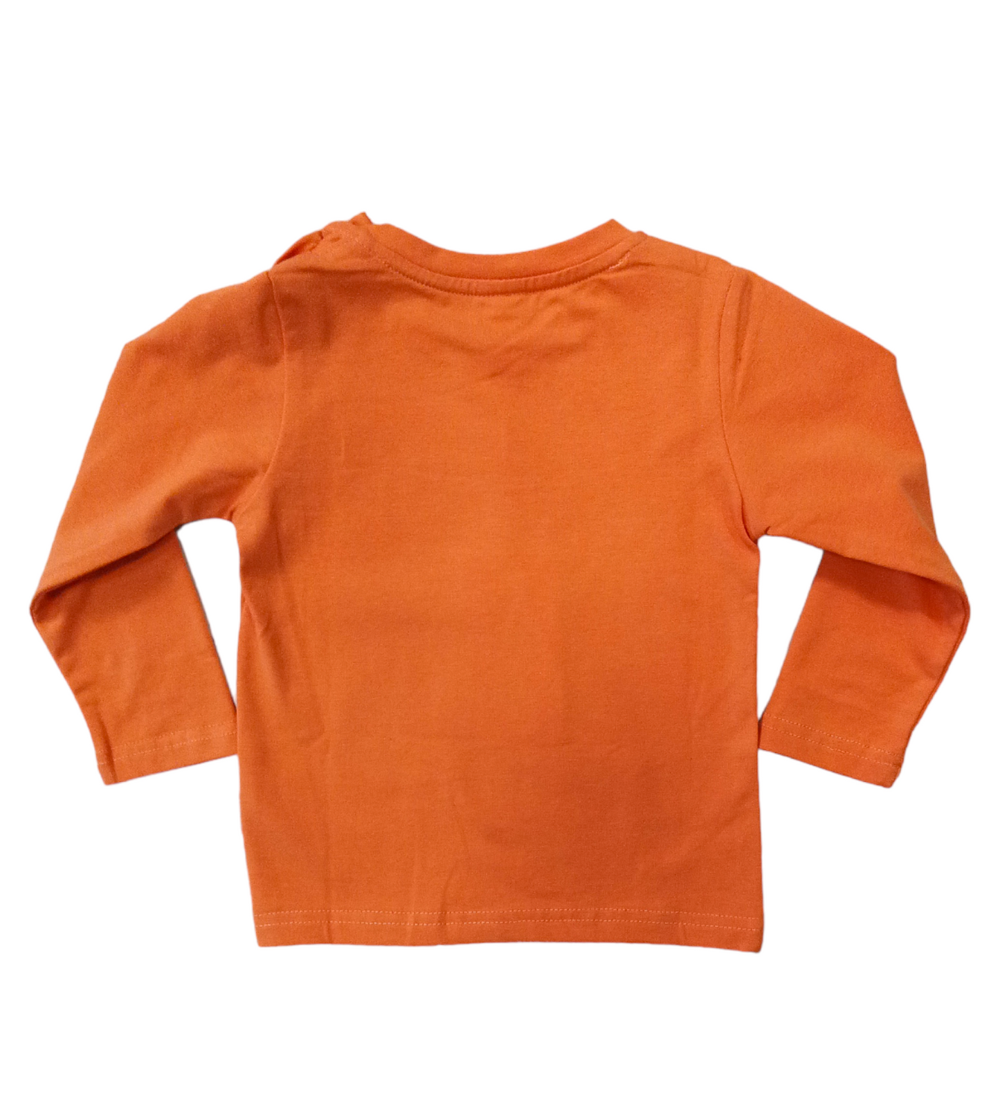 T-Shirt Arancione Felpata Scritta Love You Beary Much Stampata Ativo Kids Bambino 6-36 Mesi