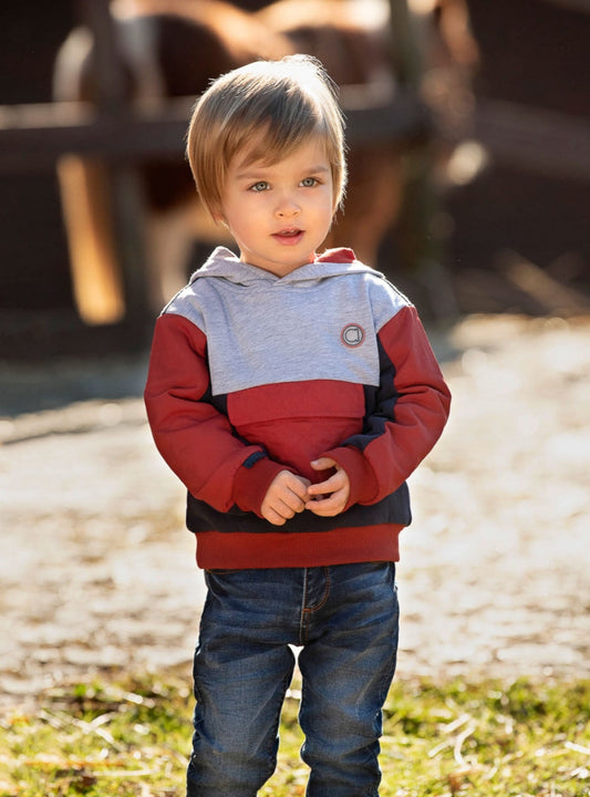 Felpa con Cappuccio Felpata Tre Colori Grigio Blu e Ruggine con Tasca sul Davanti Ativo Kids Bambino 12-36 Mesi