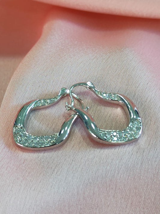 Silver Color Steel Earrings